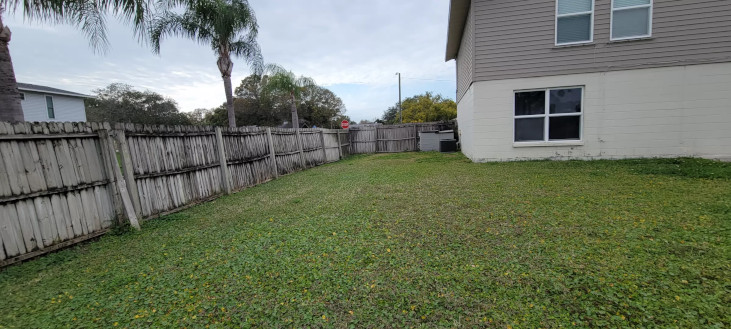 Original yard photo (no fence)